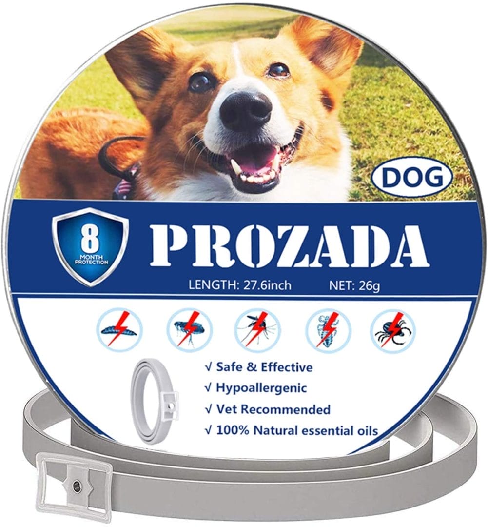 Collare Antiparassitario Per Cani Regolabile - Facile Da Indossare, Protezione Lunga Durata Contro Insetti, Per Tutte Le Taglie